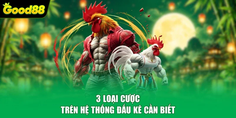 3 loại cược trên hệ thống đấu kê cần biết