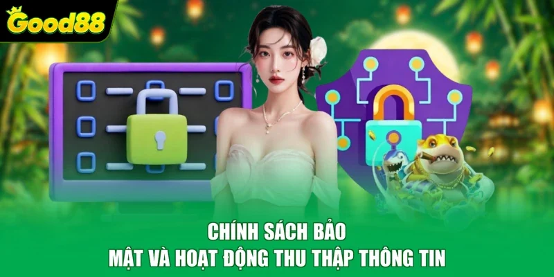Chính sách bảo mật và hoạt động thu thập thông tin