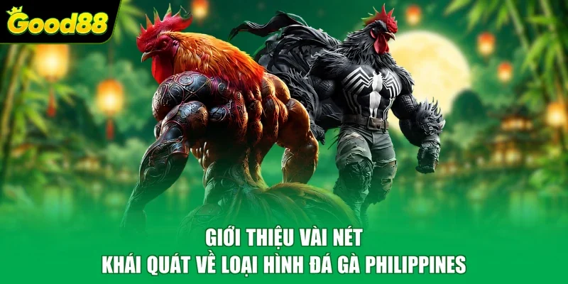 Giới thiệu vài nét khái quát về loại hình đá gà Philippines