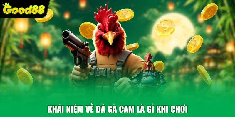 Khái niệm về đá gà Cam là gì khi chơi